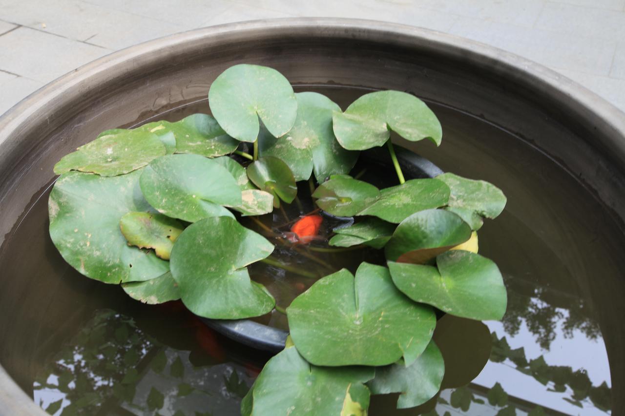 Zhantan Courtyard Hotel ปักกิ่ง ภายนอก รูปภาพ