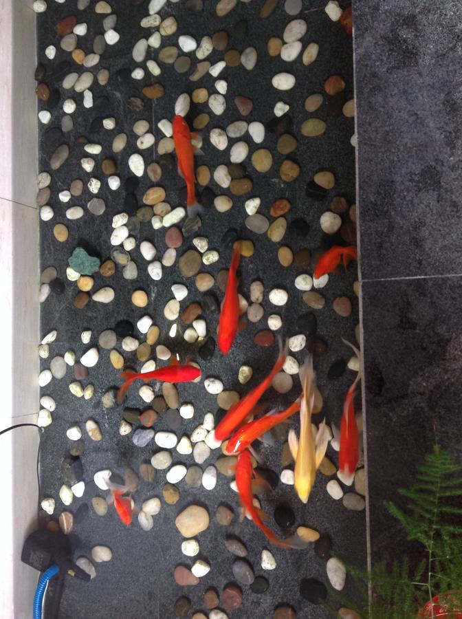 Zhantan Courtyard Hotel ปักกิ่ง ภายนอก รูปภาพ